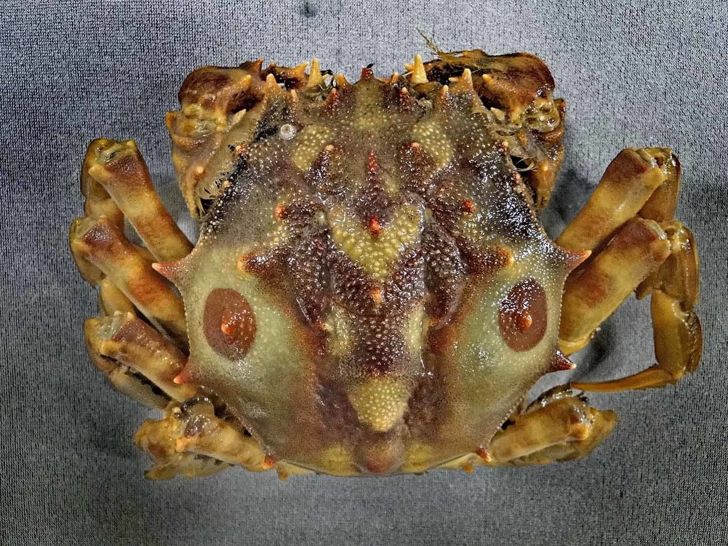 범게 / '입질의추억TV' 유튜브