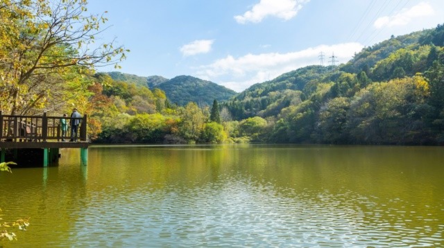 화순 세량제