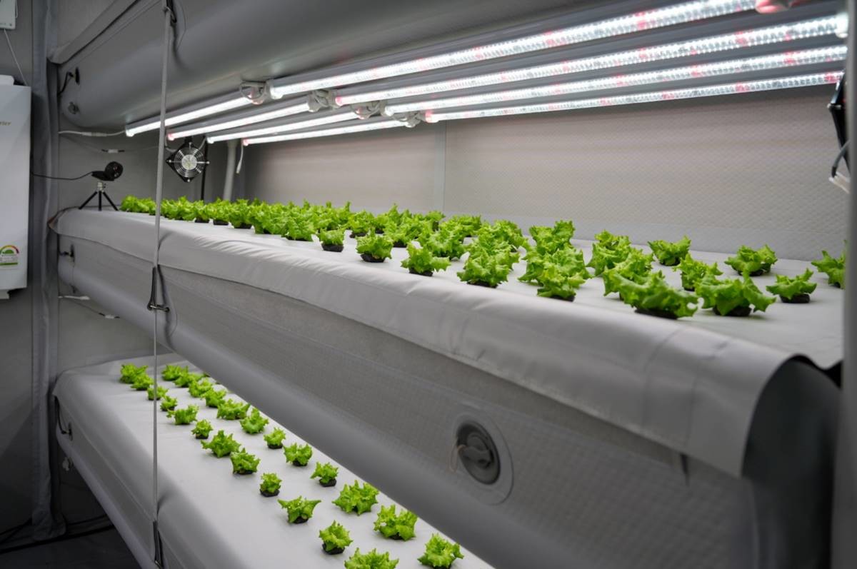 포항시청에 설치된 인도어팜(에어팜).