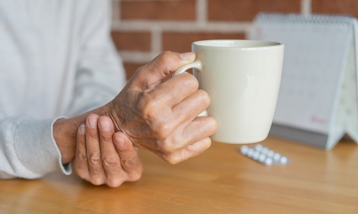 기사의 이해를 돕기 위한 사진 / chainarong06-shutterstock.com
