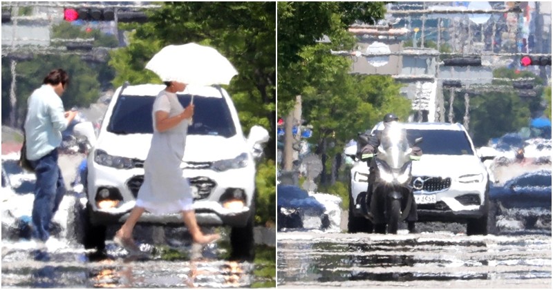 기사의 이해를 돕기 위한 사진 / 뉴스1