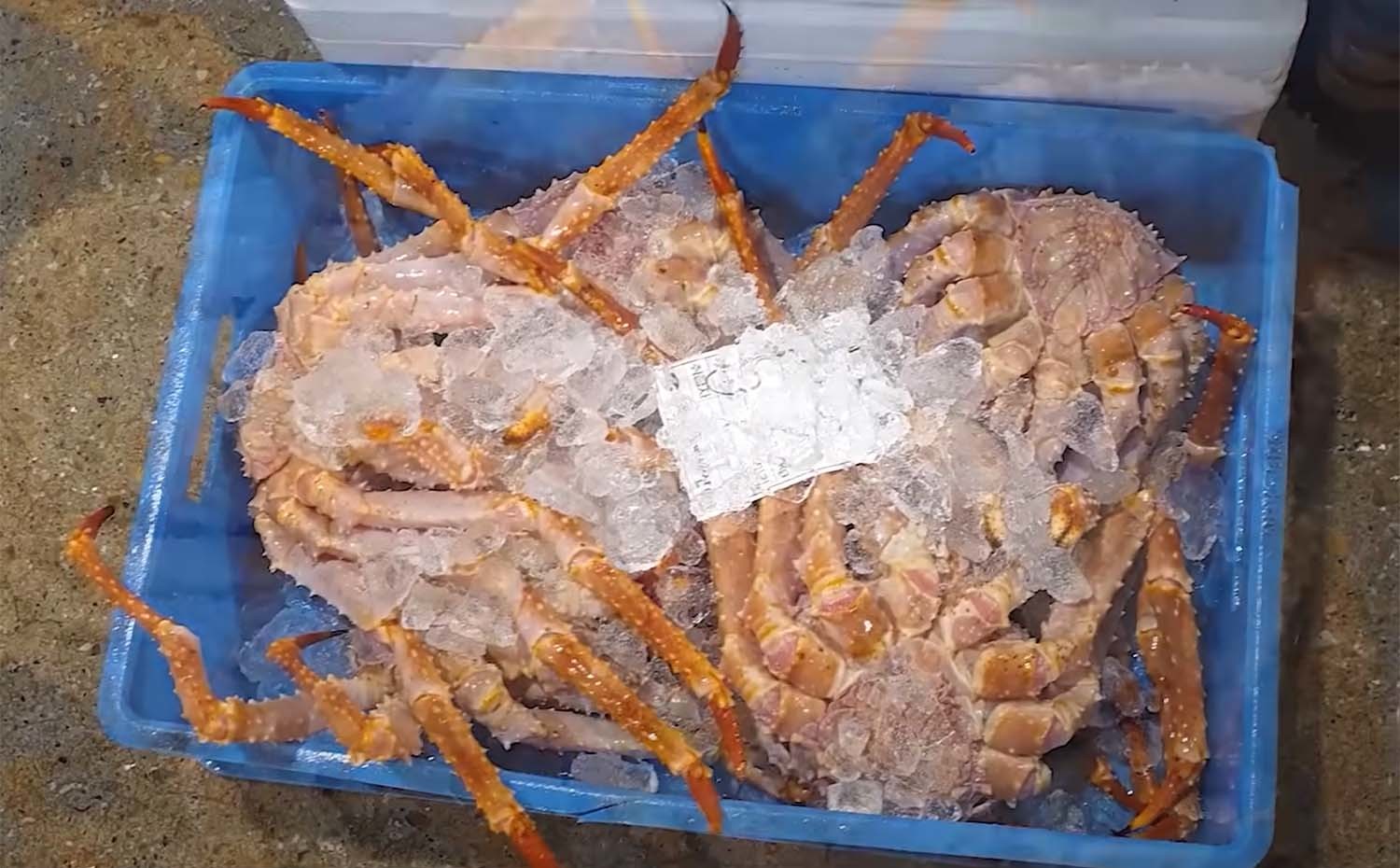 김지민이 구입한 킹크랩 / ‘입질의추억TV’ 유튜브