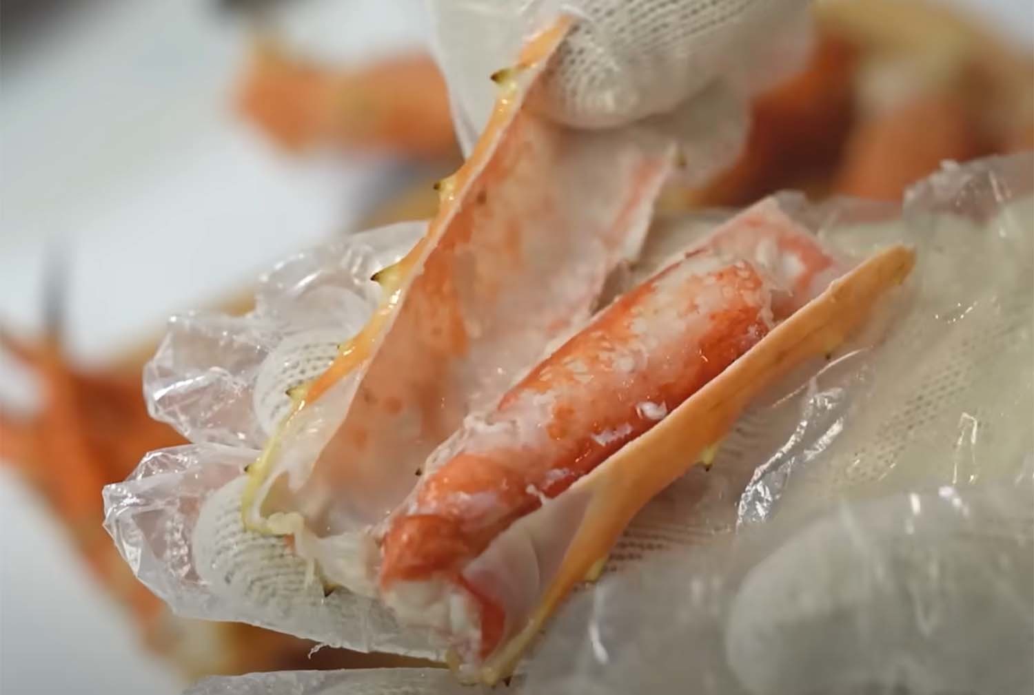 김지민이 구입한 킹크랩 / ‘입질의추억TV’ 유튜브