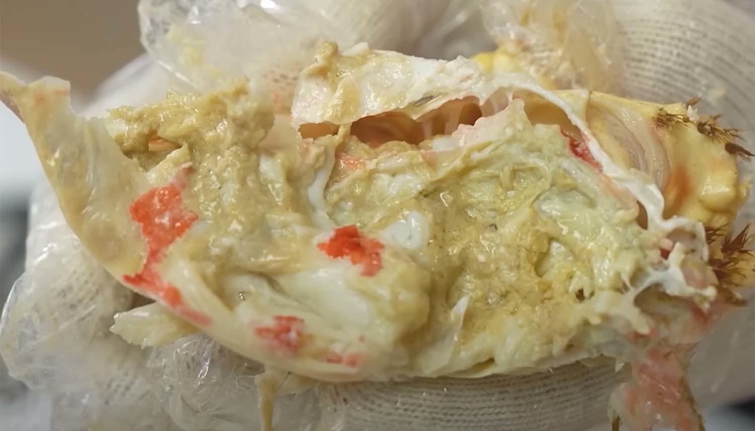 김지민이 구입한 킹크랩 / ‘입질의추억TV’ 유튜브