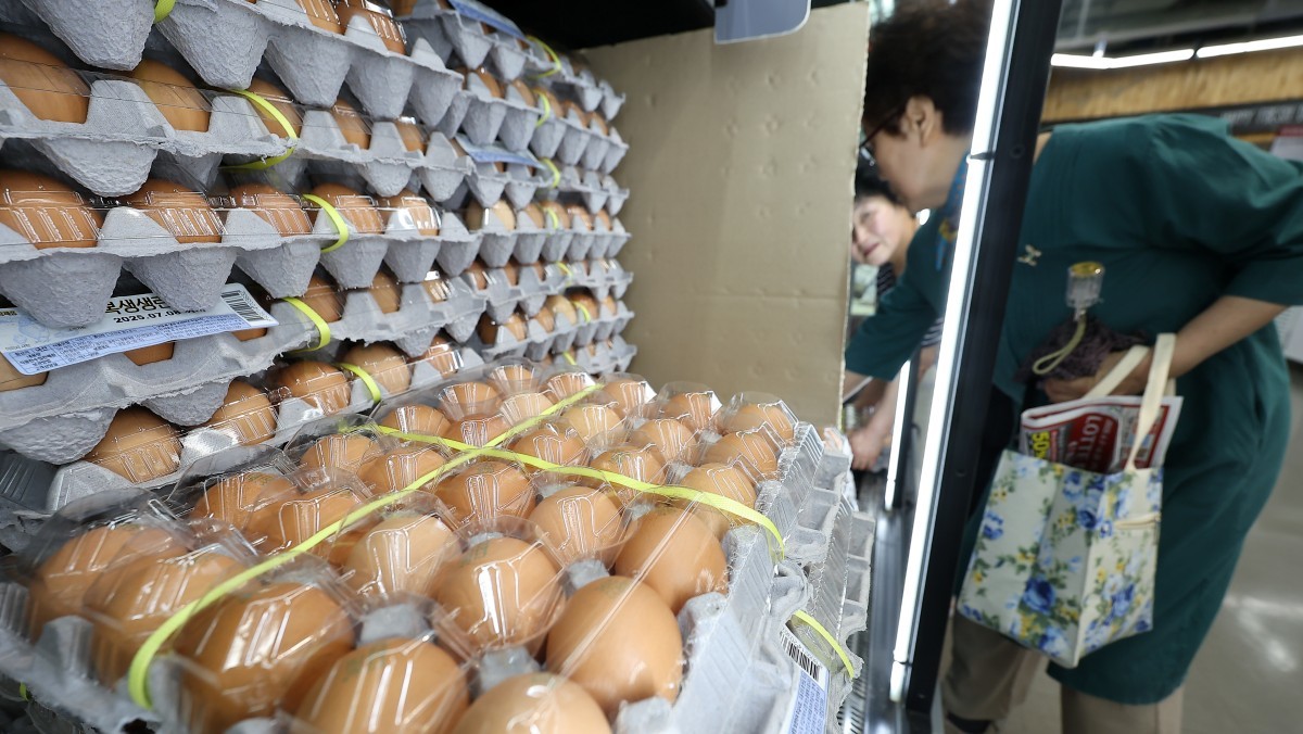 계란을 고르는 시민들의 모습. / 연합뉴스