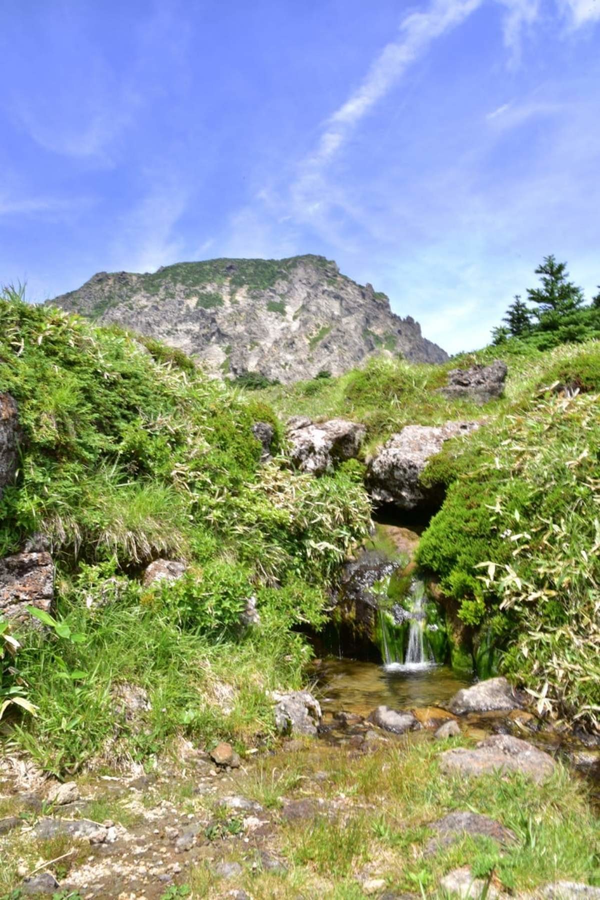 한라산 비공개 구간인 윗세오름과 남벽 분기점 사이에 위치한 백록샘 / 제주도세계유산본부 제공