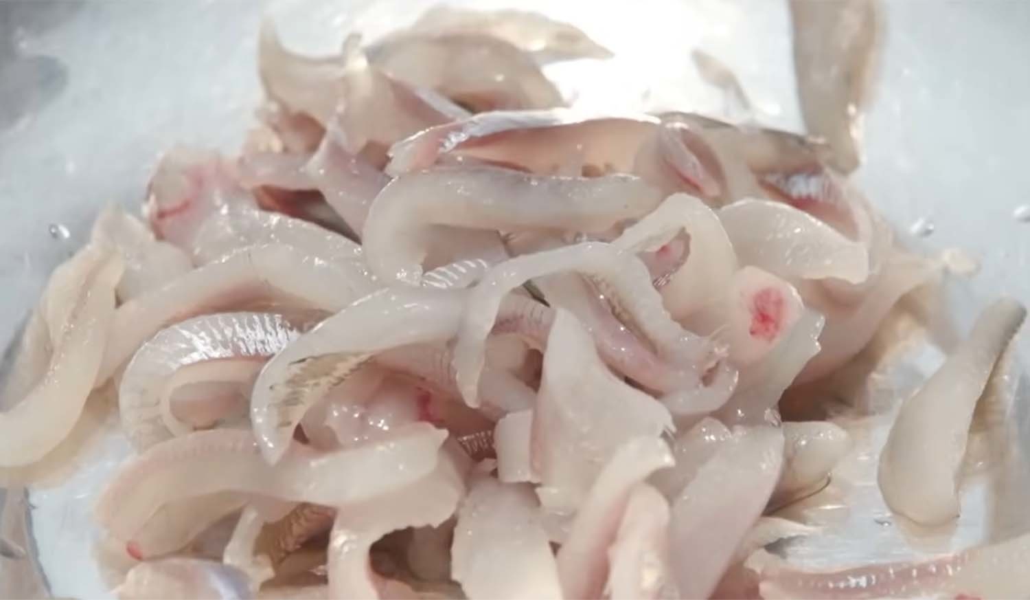 은어 회 / '한국맛집K' 유튜브