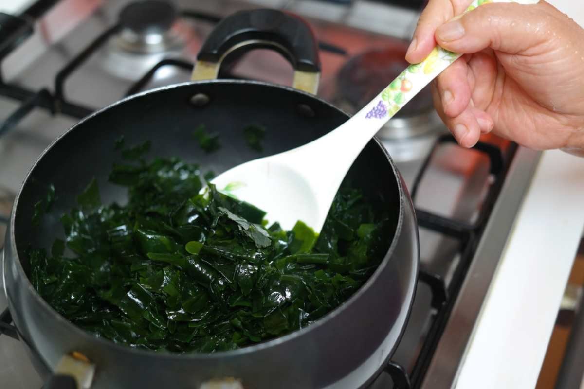 미역을 볶는 모습 / Hyung min Choi-shutterstock.com