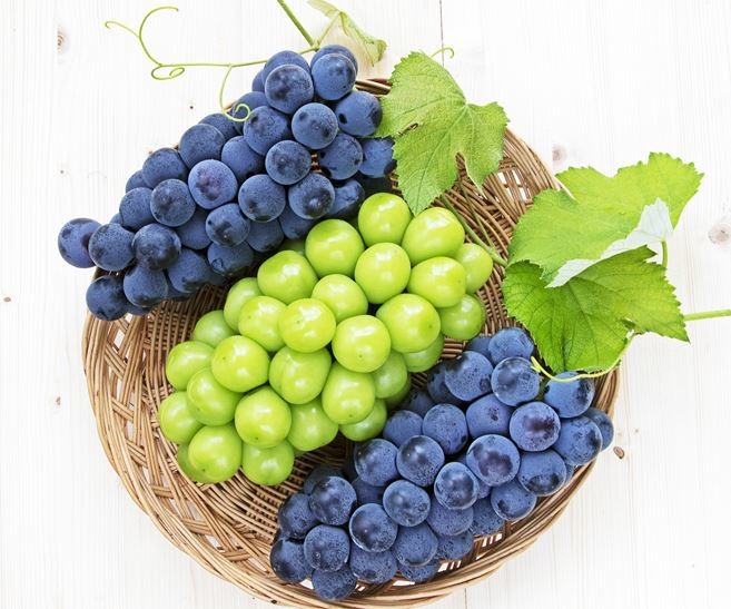 포도 / Stock for you-shutterstock.com