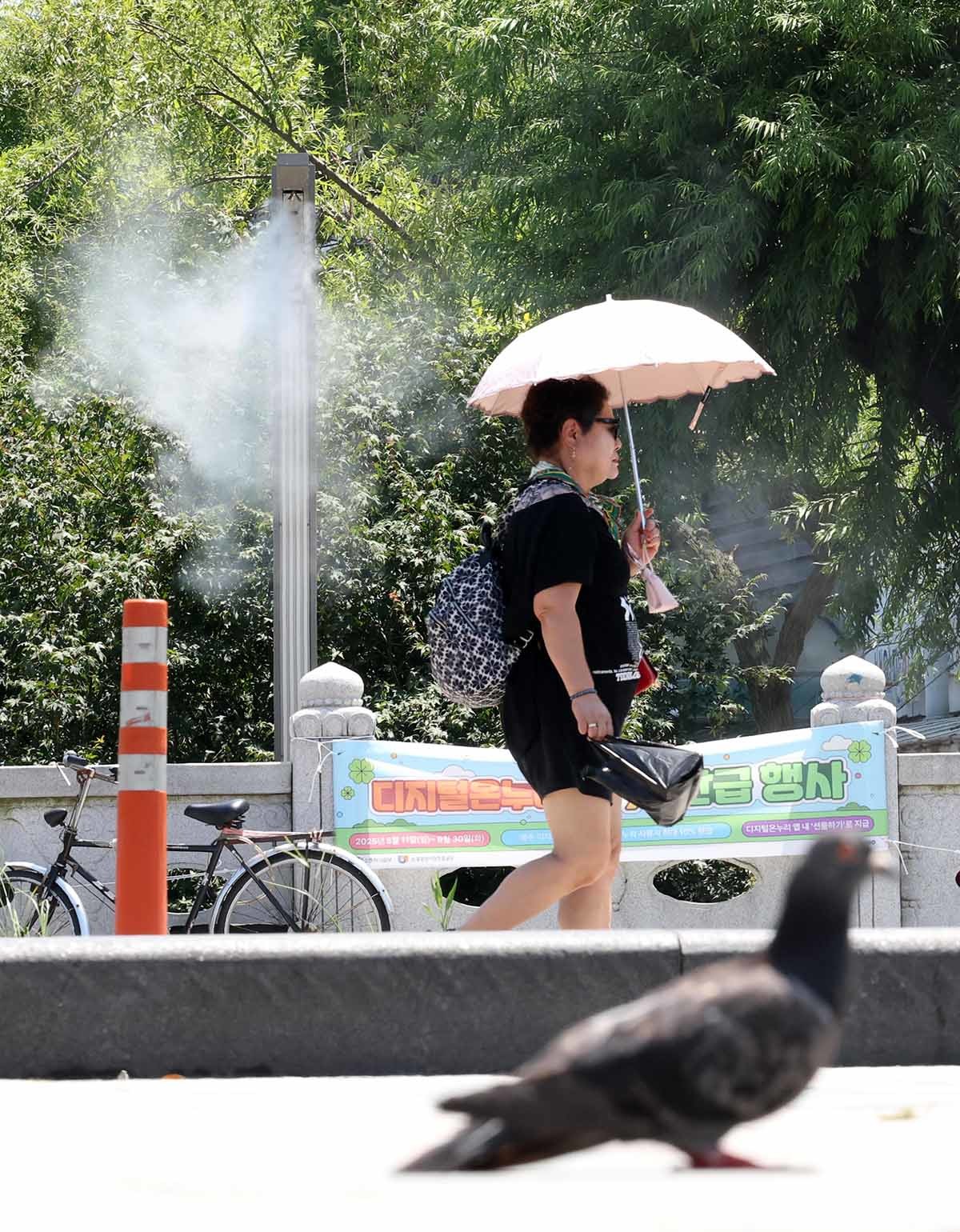 연일 폭염이 이어지고 있는 11일 경기 수원시 팔달구 지동교에서 쿨링포그가 가동되고 있다. / 뉴스1