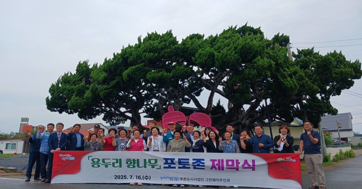 청하면 용두리 397번지 일원에서 조성된 ‘용두리 향나무’ 포토존/포항시