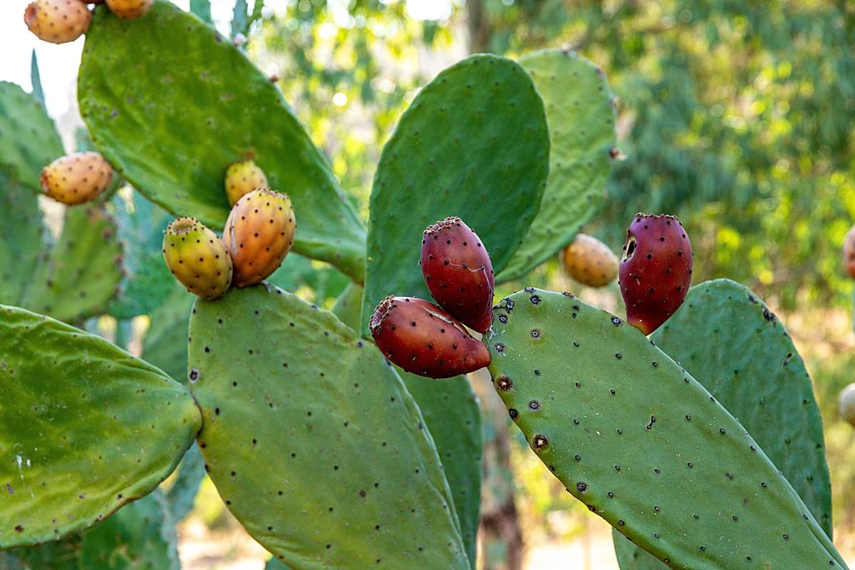 기사 이해를 돕기 위한 자료 사진 / gph-foto.de-Shutterstock.com
