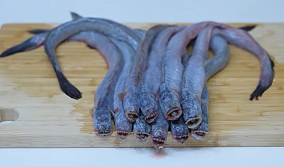 유튜브 '헌터퐝'