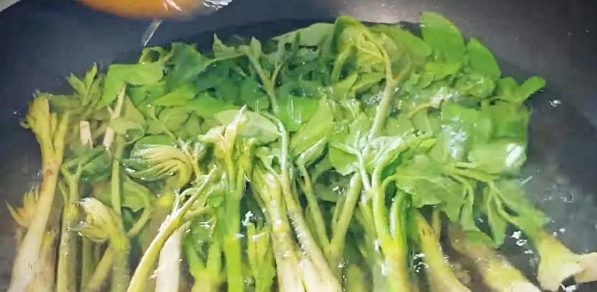 땅두릅 데치기. 자료사진. / 유튜브 '부산아지매레시피'
