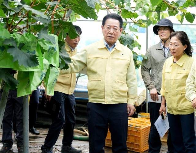 김영록 전라남도지사가 19일 오후 나주 동강면 원예작물 침수 피해현장을 방문, 피해상황 등을 점검하고 시설 조속 복구 등을 지시하고 있다.