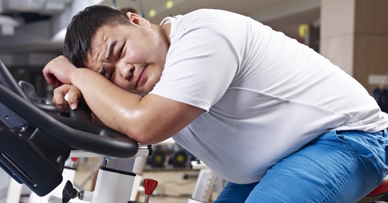기사의 이해를 돕기 위한 사진 / imtmphoto-shutterstock.com