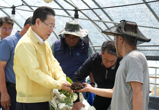 김영록 전라남도지사가 20일 오후 담양 봉산면 딸기육묘 시설하우스 침수 피해현장을 방문, 피해상황을 점검하고 시설 조속 복구 등을 지시하고 있다.