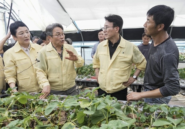 강기정 광주광역시장이20일 오전 김민석 국무총리와 폭우 침수 피해 지역인 북구 용강동 하신마을 딸기재배 시설하우스를 살펴보고 있다./광주광역시 제공