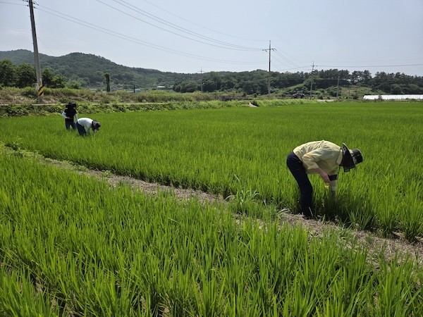 고창군