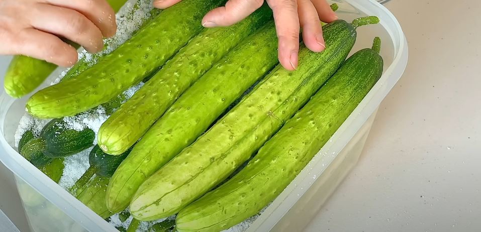 유튜브 '딸을 위한 레시피 Recipes for daughters'