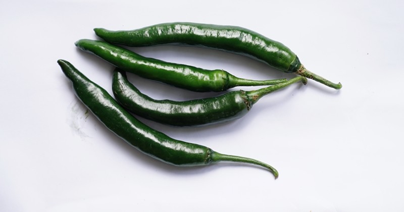 청양고추 / I Made Rai Yasa-shutterstock.com