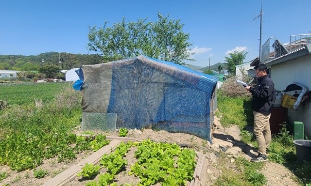 개발제한구역 특별단속