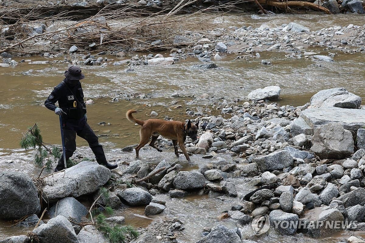 22일 경기도 가평군 조종면 마일리에서 경찰이 탐지견으로 실종자 수색 작업을 벌이고 있다. / 연합뉴스
