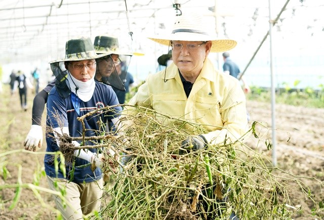 김영록 전라남도지사가 24일 오전 집중호우 피해를 입은 나주 문평면 농가를 찾아 수해복구 봉사활동을 하고 있다. / 전남도