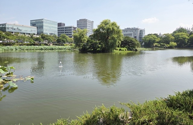 전남대학교 용지에 조경용수로 유출지하수를 보냄