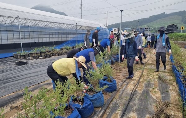 순창군의회