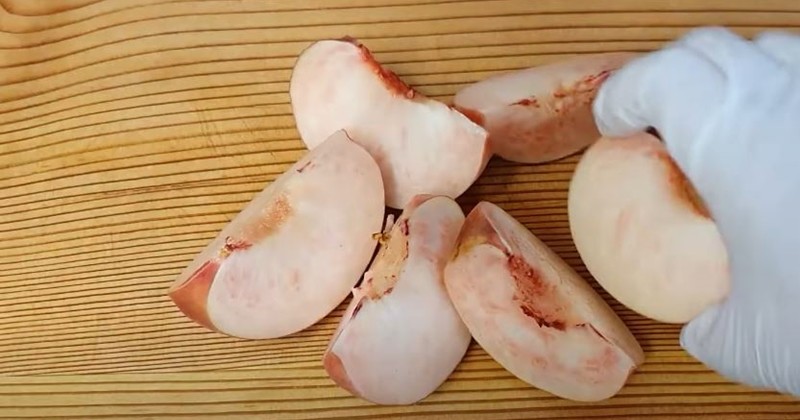 유튜브 '만능장갑'