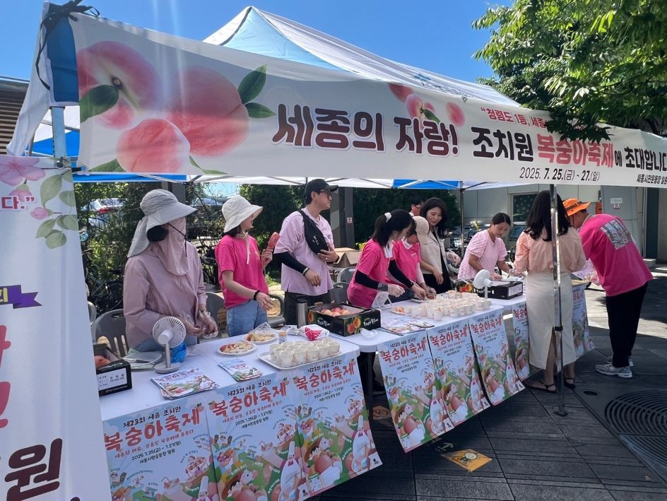 복숭아축제_지원_홍보_활동(감사위원회)1 / 세종시