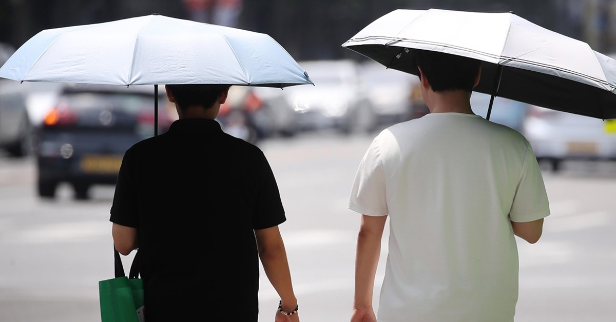 대구 중구 국채보상로에서 남성 2명이 양산을 펼쳐 뙤약볕을 가린 채 걸어가고 있다. / 뉴스1