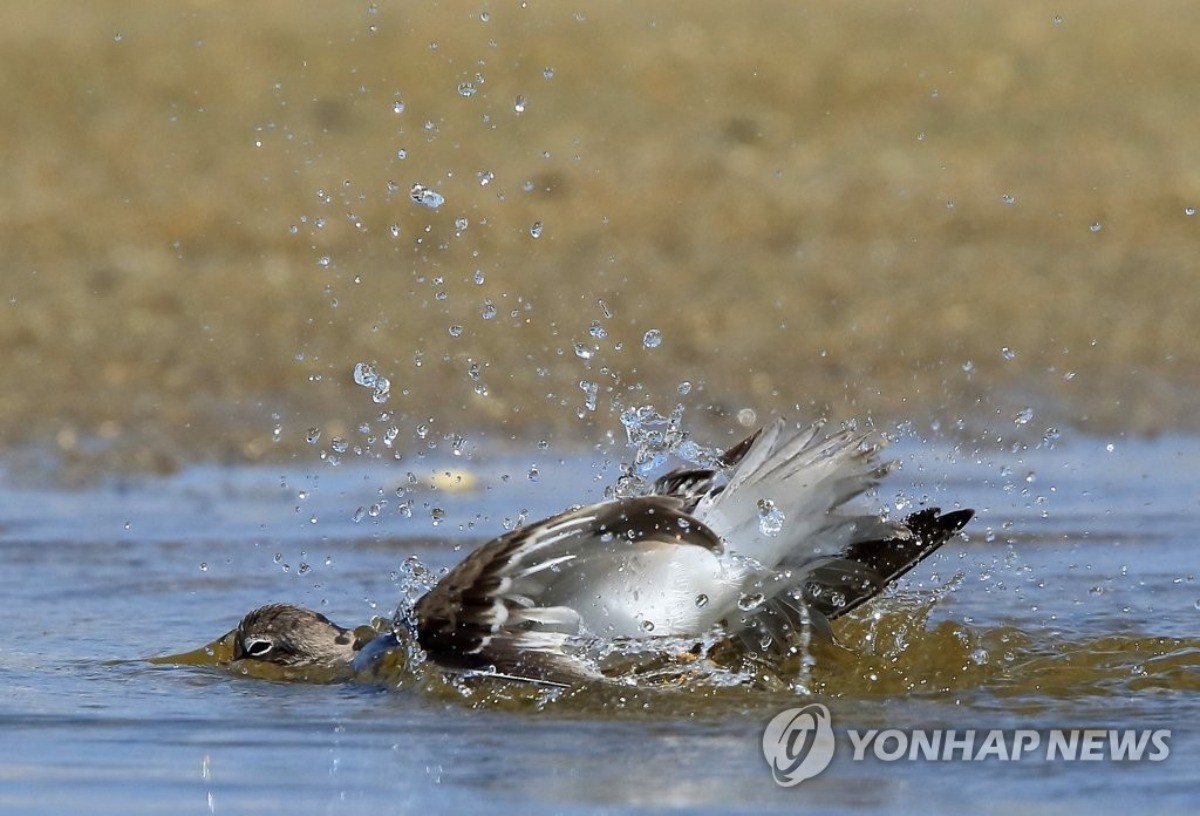 연합뉴스