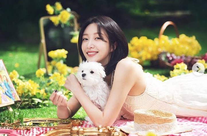 하니 인스타그램