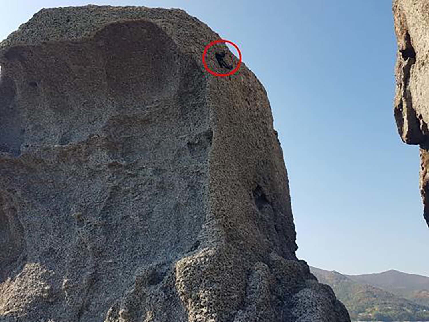 전남 구례군에서 고흥군으로 이전 방사된 양비둘기 개체가 새끼를 낳은 갯바위 절벽 동굴. / 국립생태원