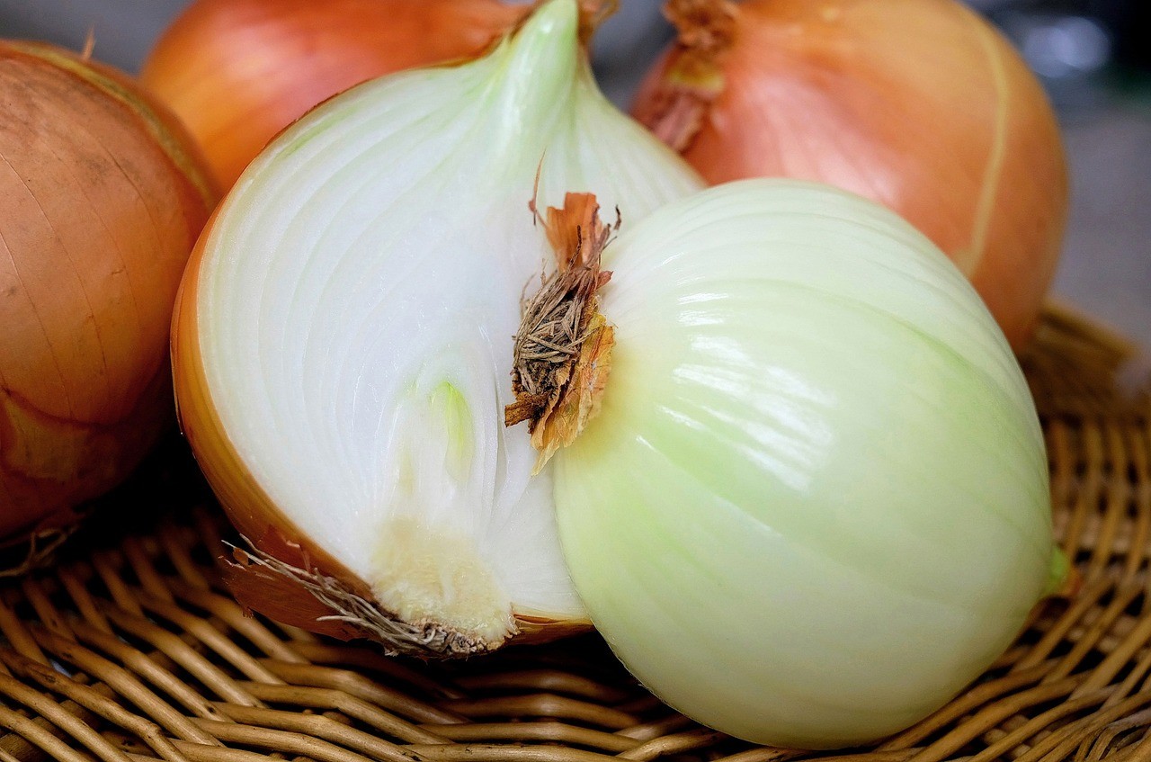 양파 / 픽사베이