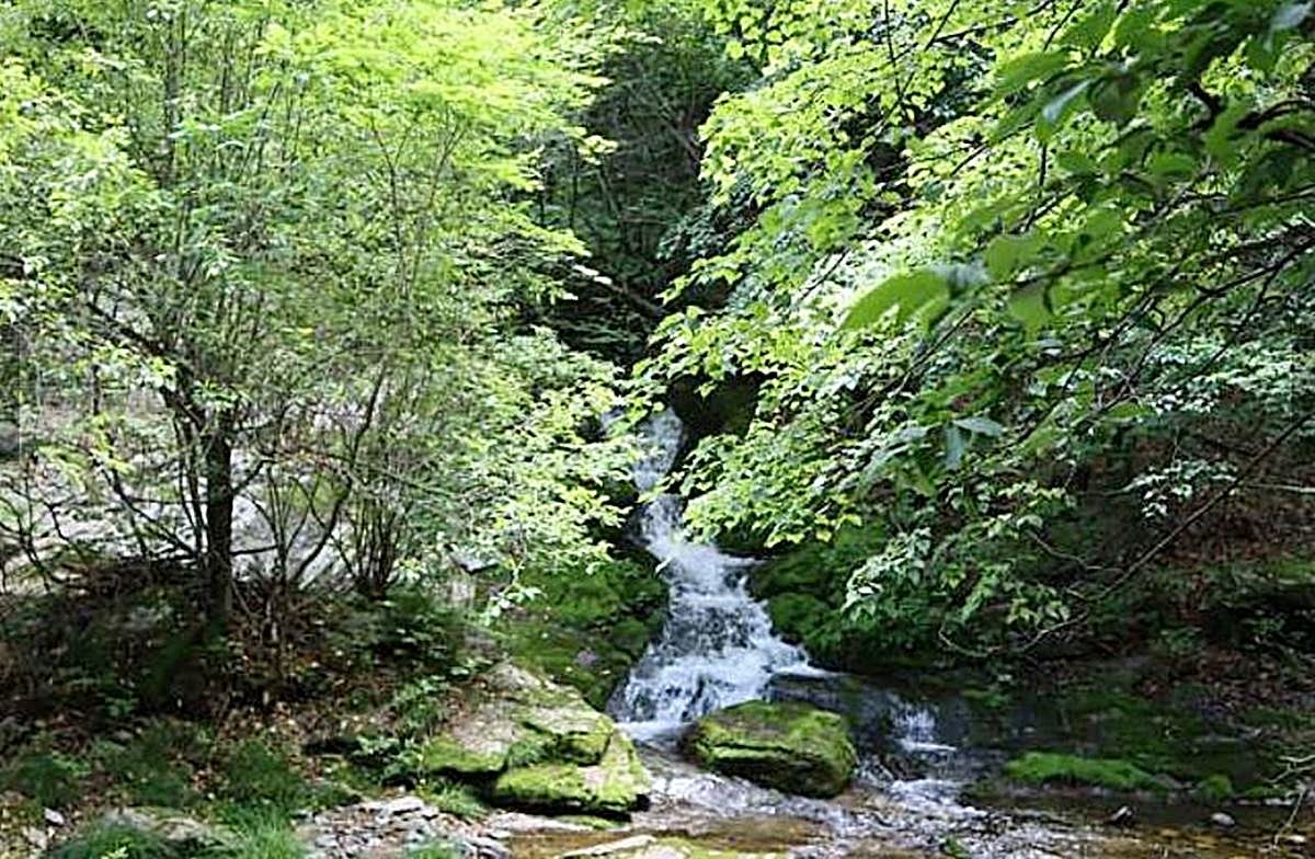 태백 관광명소인 검룡소 모습. 기사 이해를 돕기 위한 자료 사진. 기상청은 강원도 태백에 29일 오전 10시를 기해 폭염주의보를 발령했다. 태백은 올여름 우리나라 내륙에서 폭염특보가 내려지지 않은 유일한 지역이었다. 태백은 해발고도 1000∼1600m의 높은 산으로 둘러싸인 고도 650m의 고원 분지 지역이다. / 태백시 제공