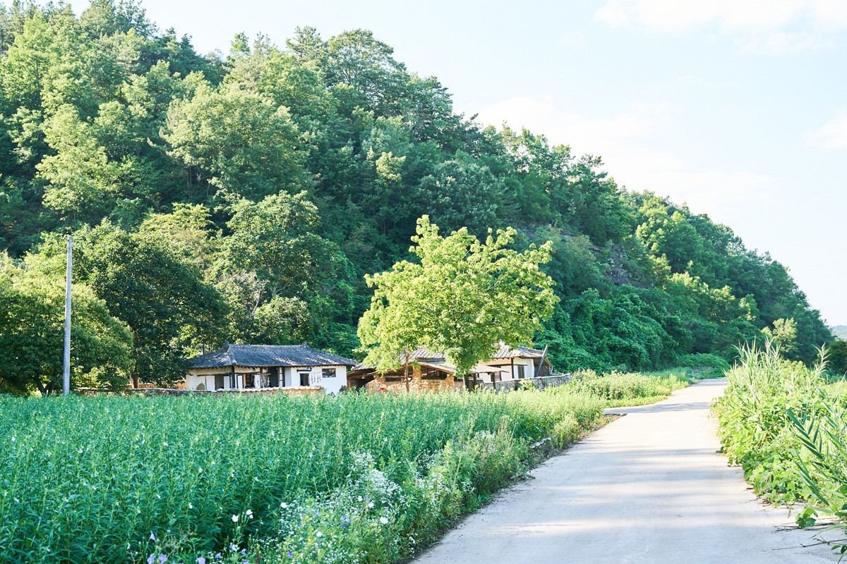 영화 '리틀포레스트' 촬영지. (대구 군위군) / 플러스엠 엔터테인먼트 제공