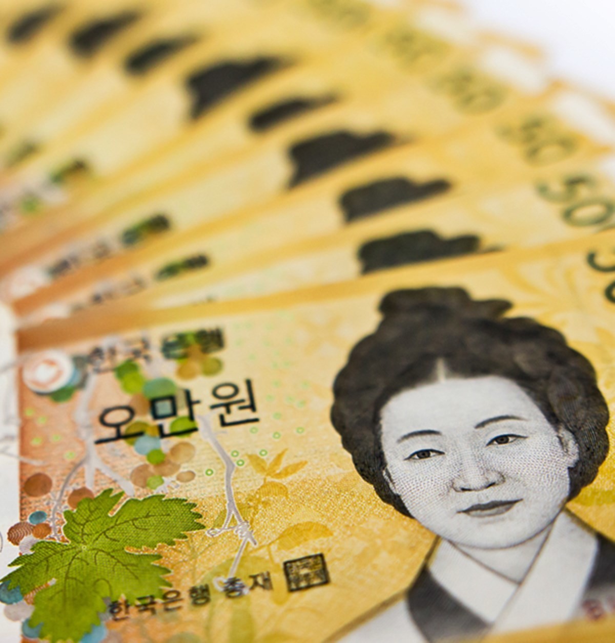 5만원권 지폐 (참고 사진). / Pisit.Sj-shutterstock.com