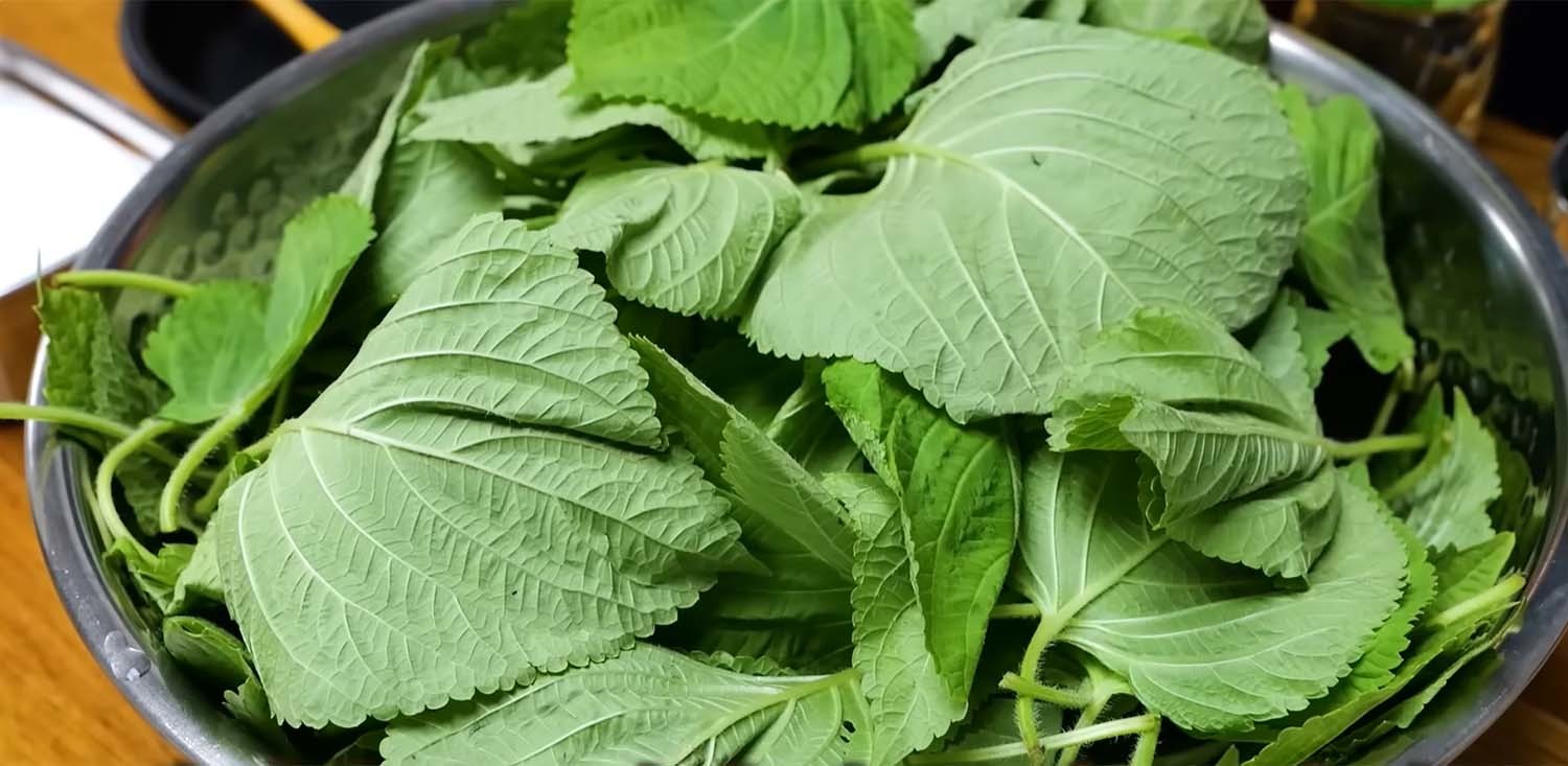 들깻잎 / '김대석 셰프TV' 유튜브