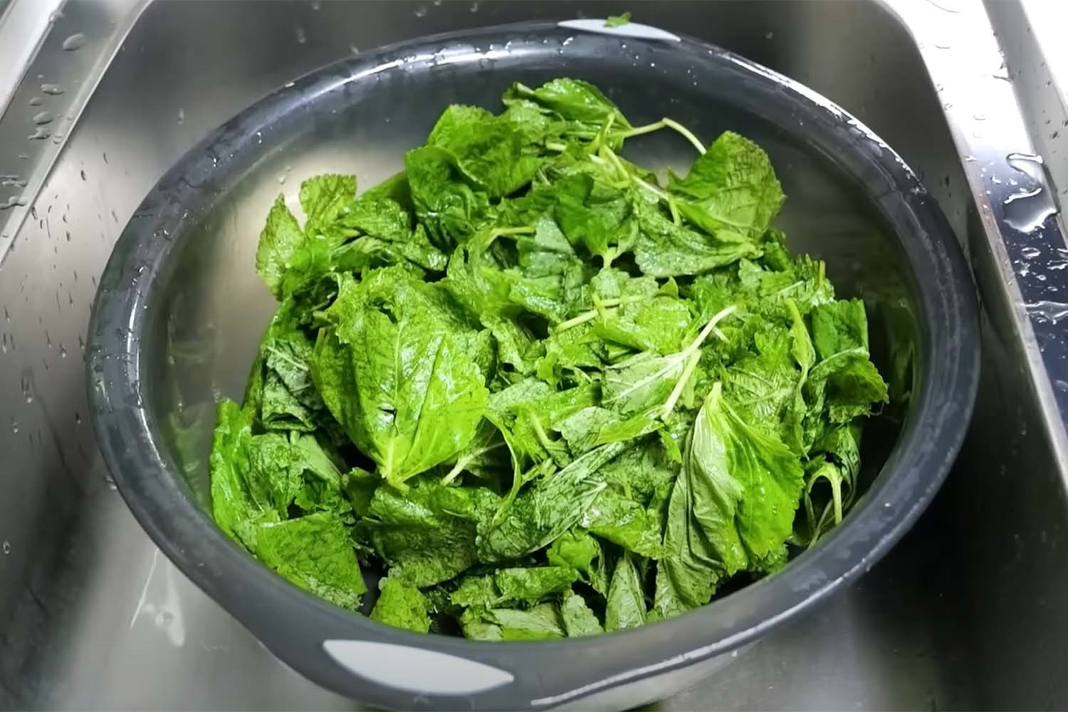 깻잎을 데치기 전 치대면 보다 부드러운 요리를 만들 수 있다. / '김대석 셰프TV' 유튜브