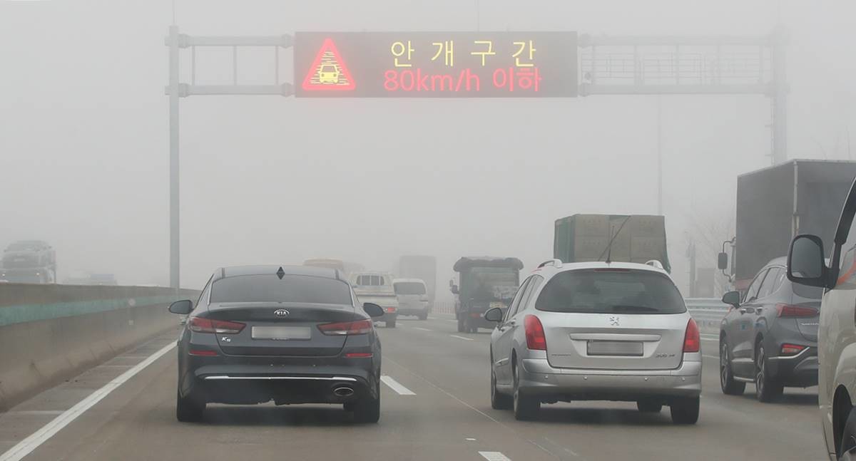 짙은 안개 낀 도로 자료 사진 / 뉴스1