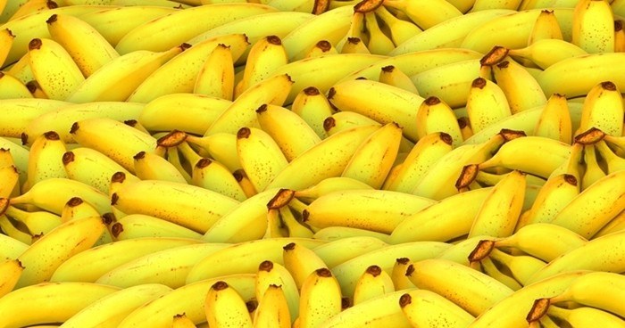 바나나 / bibikuwibu-shutterstock.com