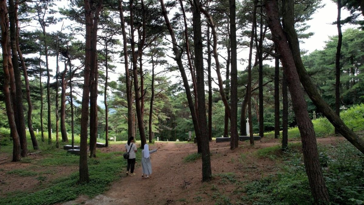 EBS1 '한국기행' 미리보기 페이지에서 제공하는 '마음이 쉬는 길' 편 자료 사진. / EBS1 제공