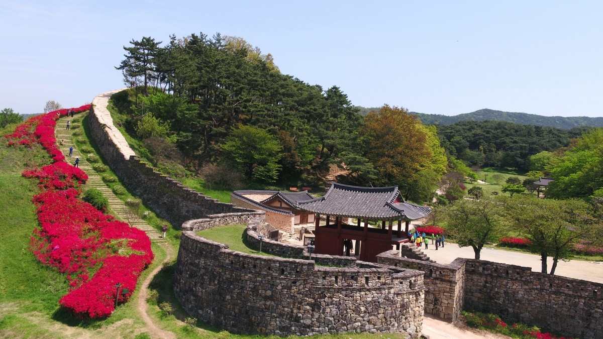 전북 고창읍성 성곽을 따라 붉은 철쭉이 만개한 모습. / 뉴스1