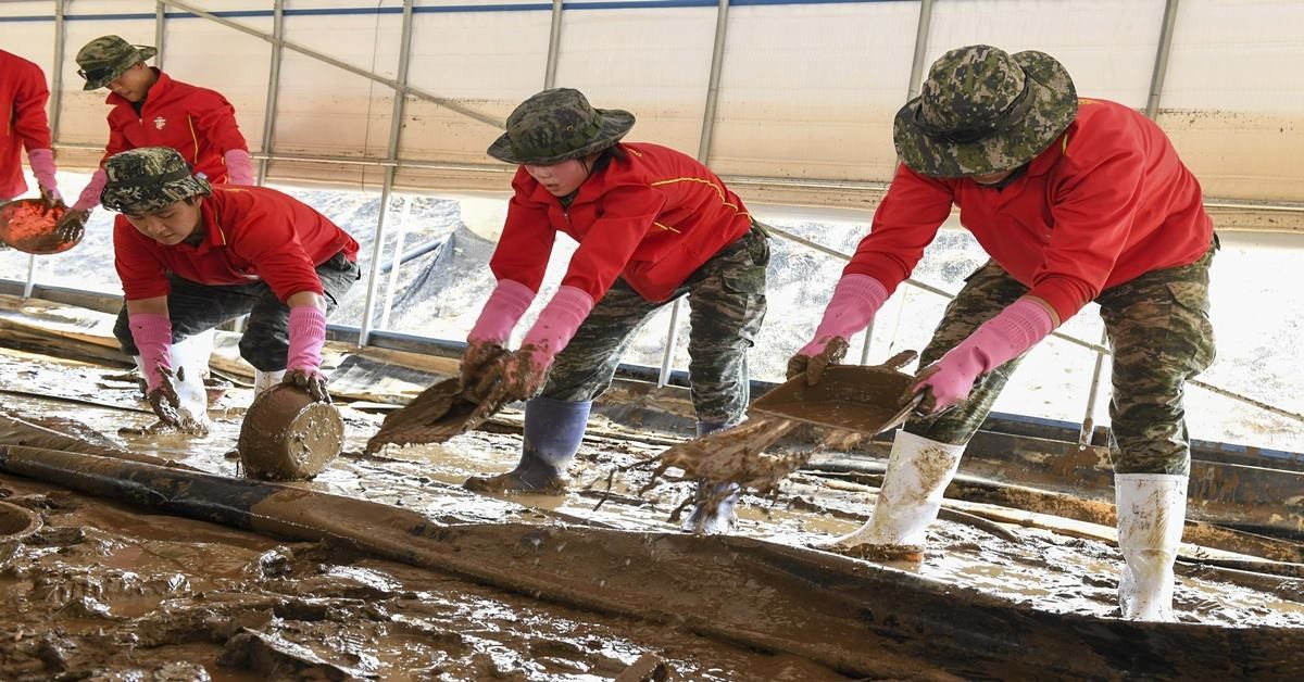 해병대는 지난 24일부터 경남 산청군 단성면 지역 호우 피해복구를 위해 신속기동부대 2개 대대를 투입해 장병들이 무더위도 아랑곳없이 대민지원을 펼치고 있다./이하 부대 제공