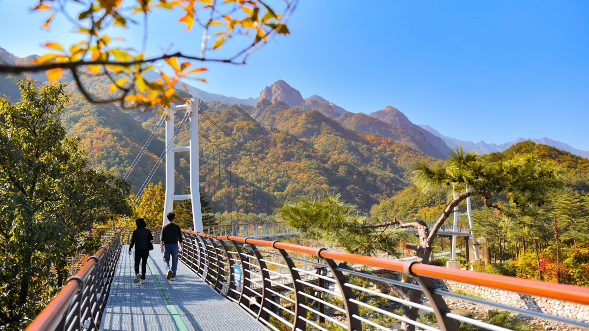 설악향기로 전경 / 속초시 제공