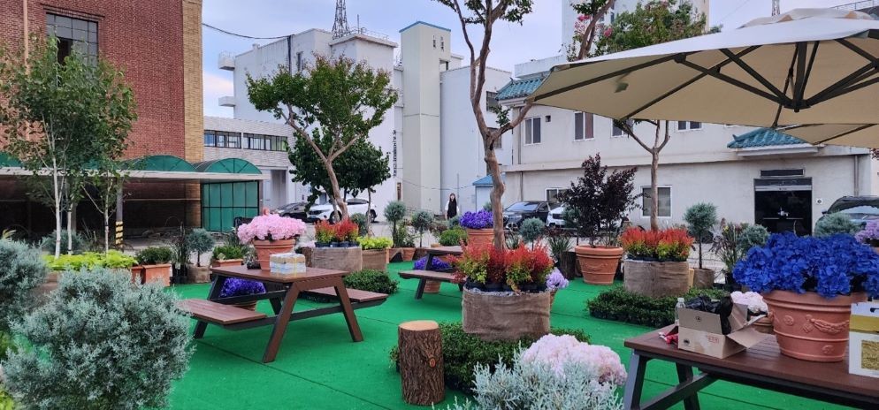 대전시‘0시 축제’-구충남도청사 중정(휴게공간 및 수목배치) / 대전시