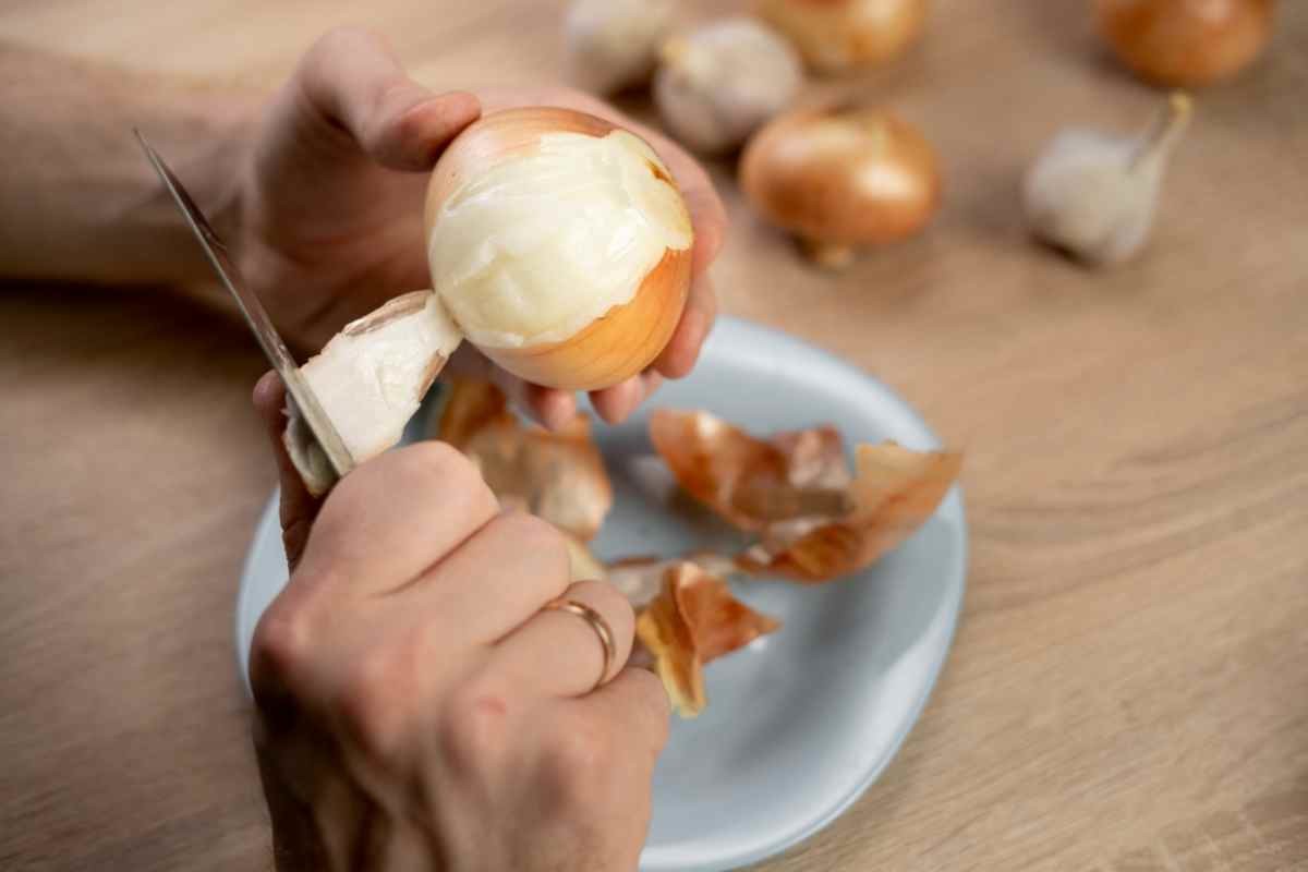 양파를 다듬는 모습 / Lysenko Andrii-shutterstock.com
